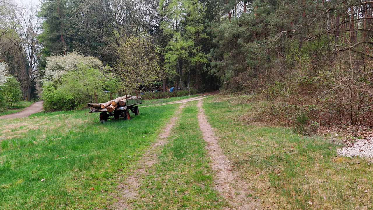 Morgenlauf am Karfreitag nach Temperatursturz von 15 Grad