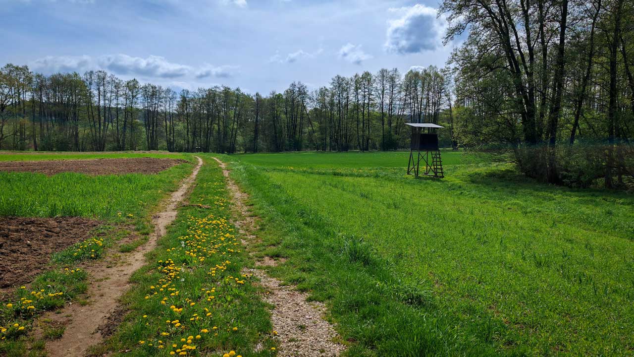Lauf nach vier Tagen Pause mit dem Ziel der Erkältung davonzulaufen und die 200 km im April zu knacken