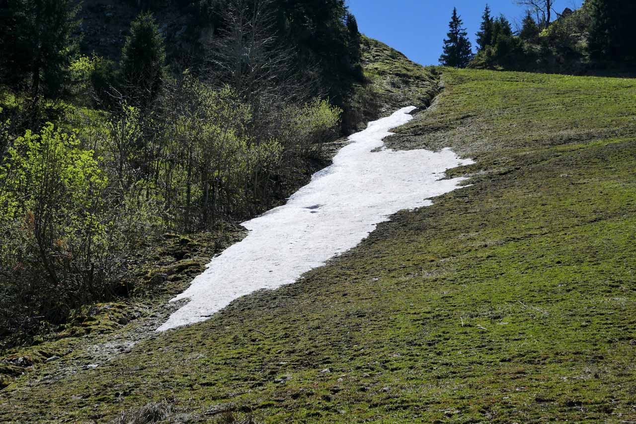 An einer Stelle fand sich sogar noch etwas Schnee
