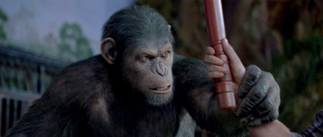 Planet der Affen: Prevolution (2011) | © Walt Disney / LEONINE