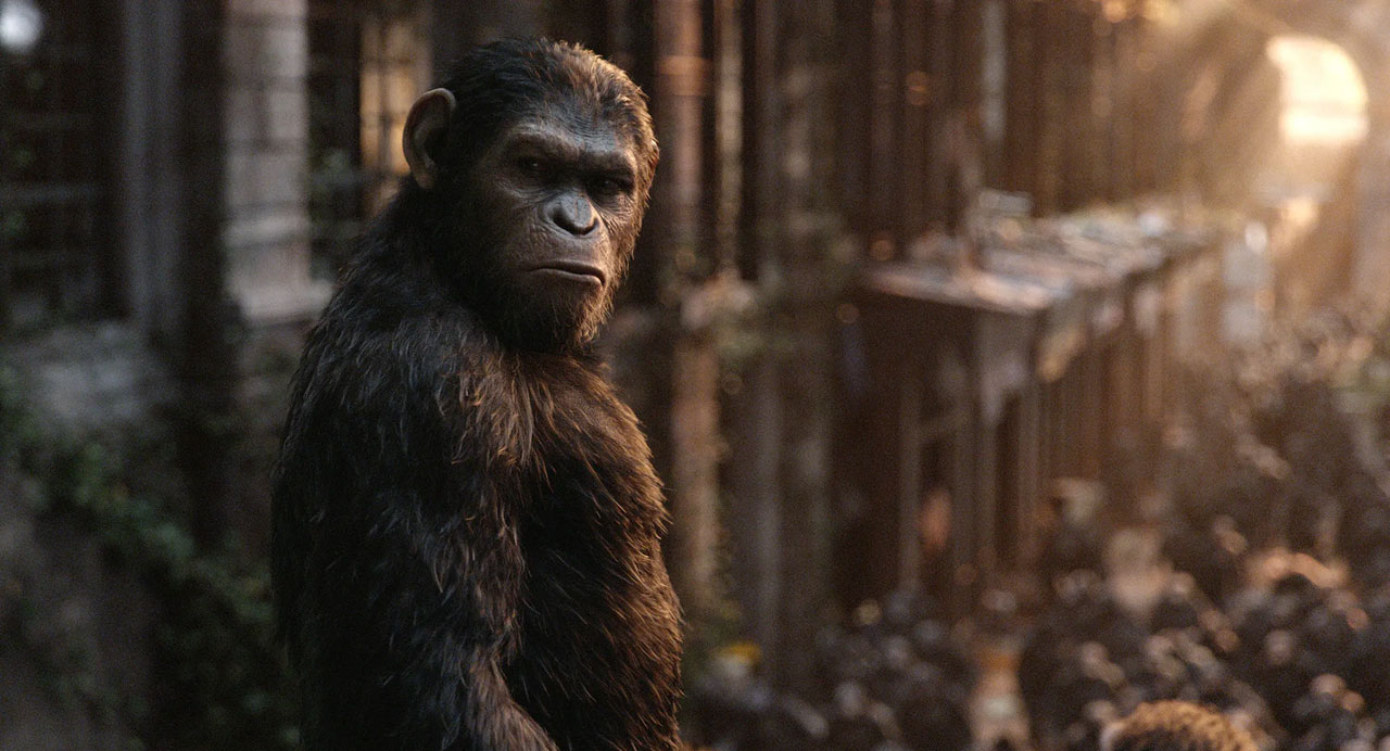Planet der Affen: Revolution (2014) | © Walt Disney / LEONINE