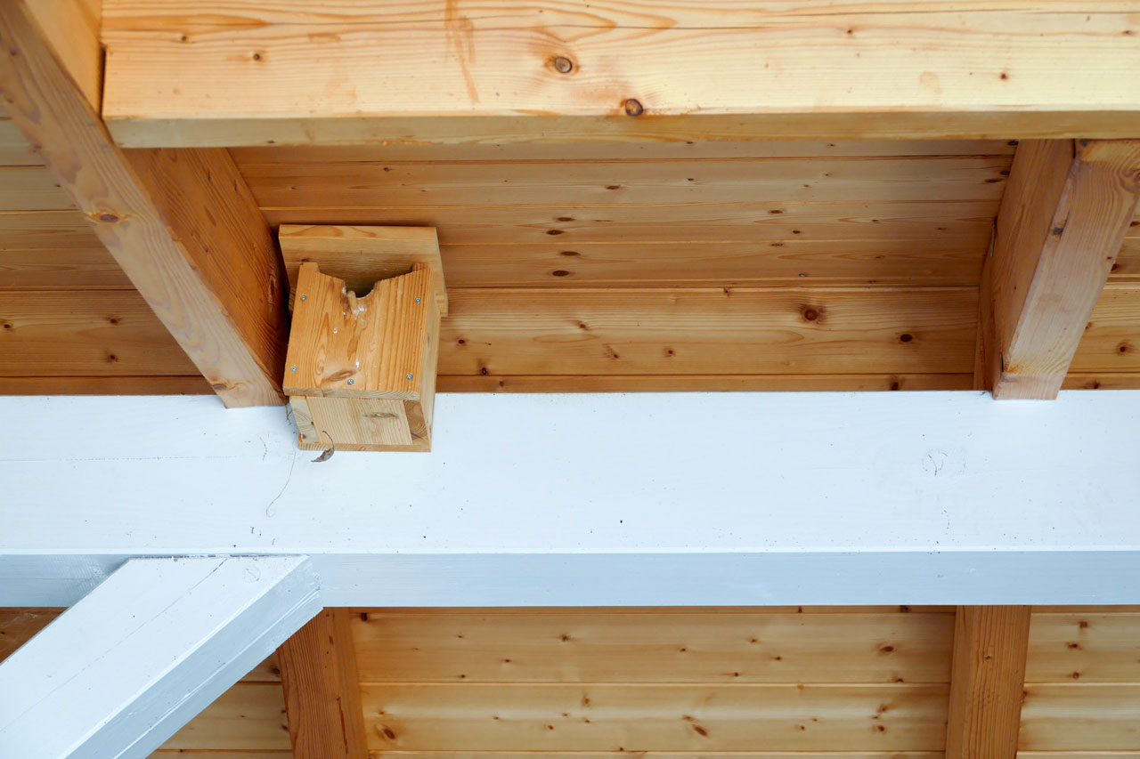 Das Vogelhaus in unserem Carport