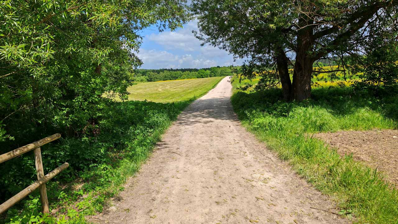 Heute bewusst versucht unter 140 bpm zu bleiben, hat fast funktioniert