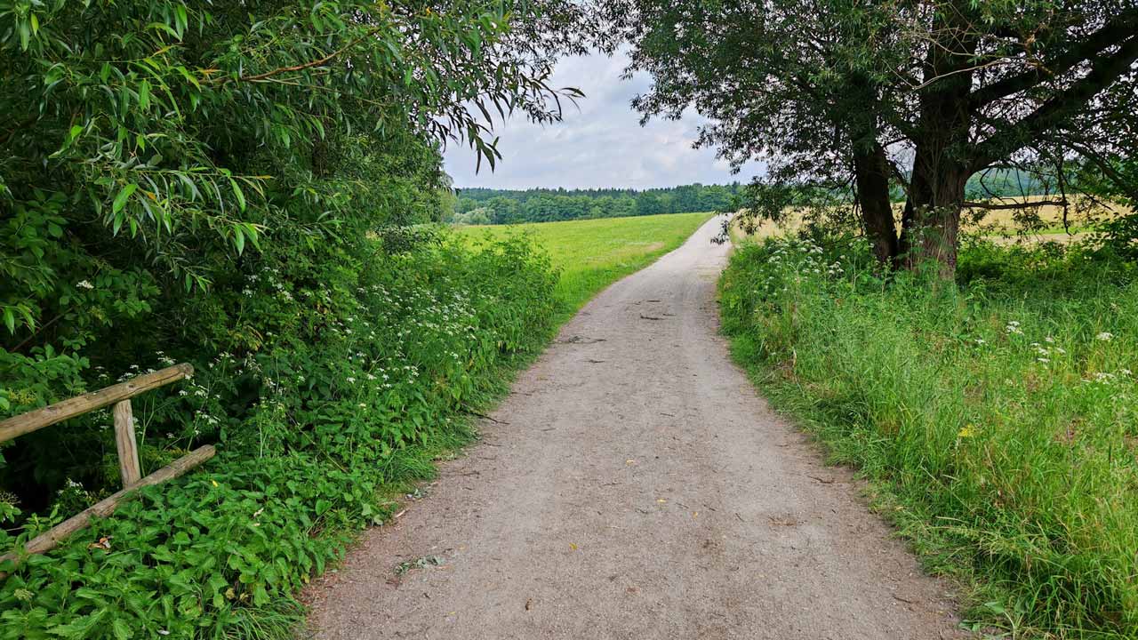 Extrem schwüler Mittagslauf nach dem Urlaub