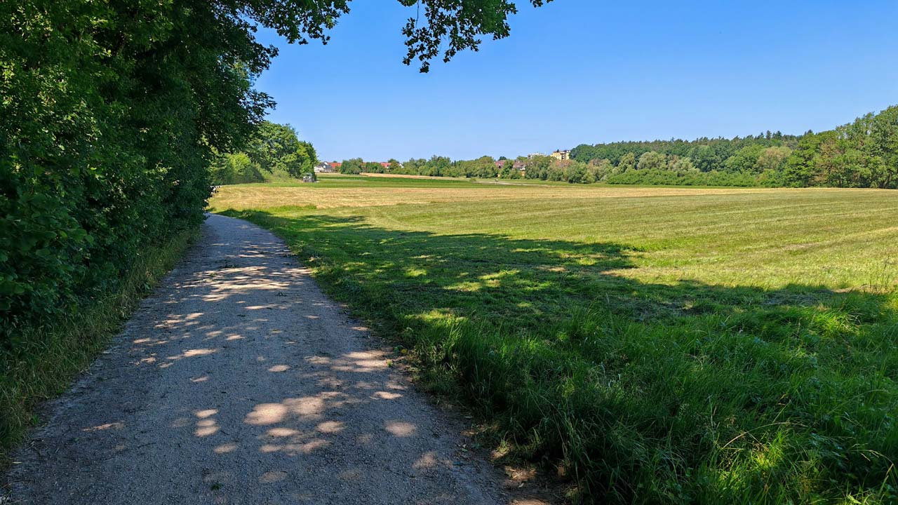 Mittagslauf mit Gegen- aber auch Rückenwind