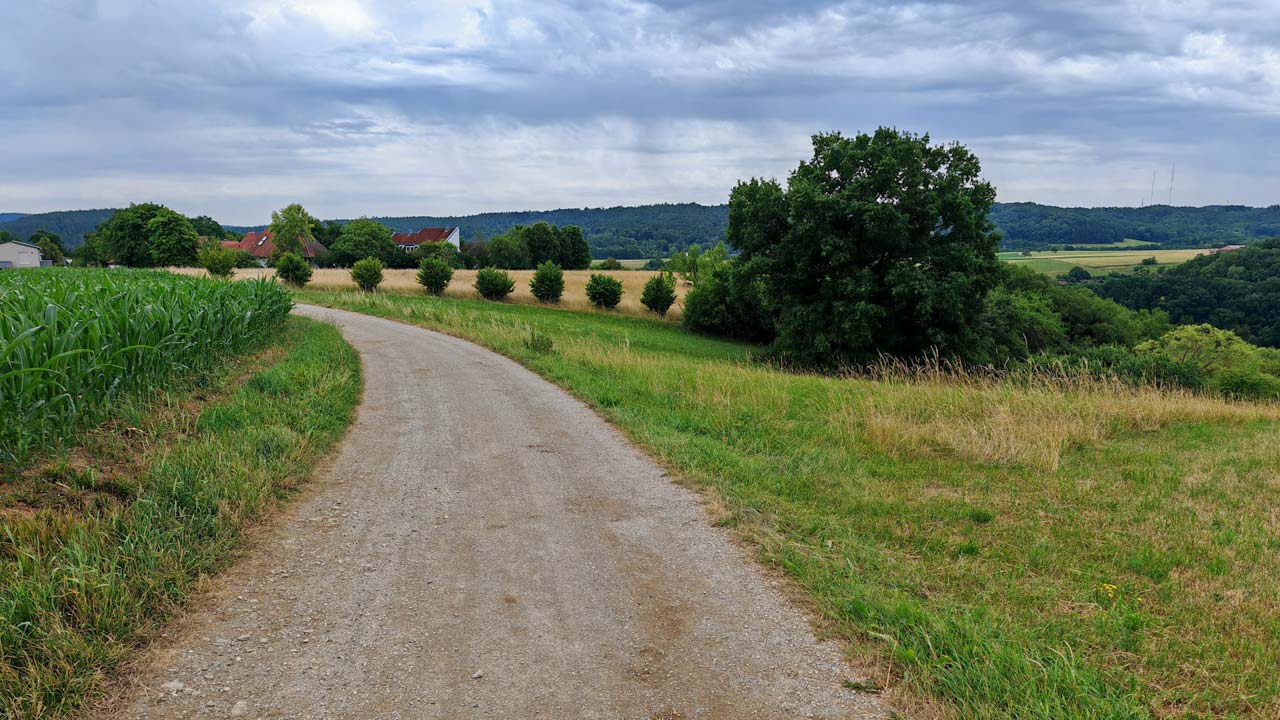 Mit diesem Lauf exakt die 1.300 km im Jahr geknackt