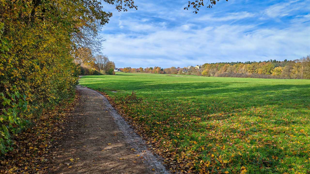 Endlich wieder laufen und den Oktober mit 237 km abgeschlossen und die 2.300 km geknackt
