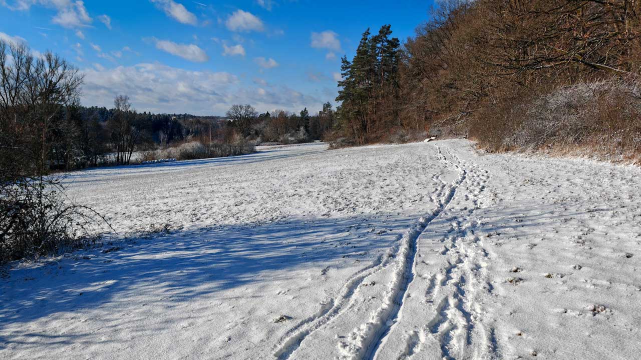 Trail-Lauf durch den verschneiten Wald