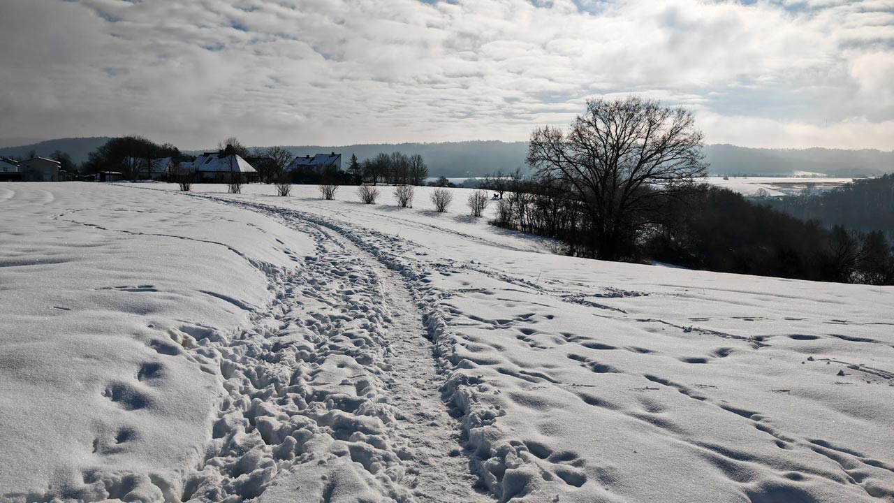 Sonniger Lauf durch den Schnee