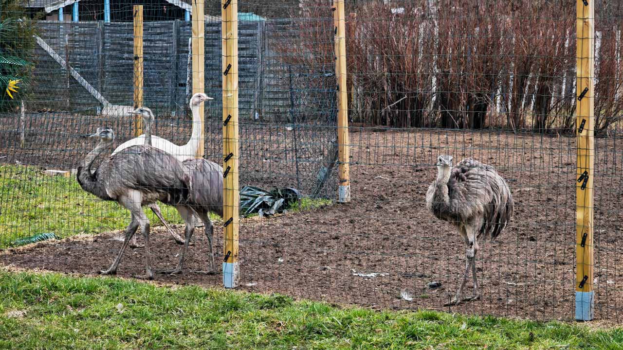 Beim zweiten Teil des Laufs neue Freunde gefunden