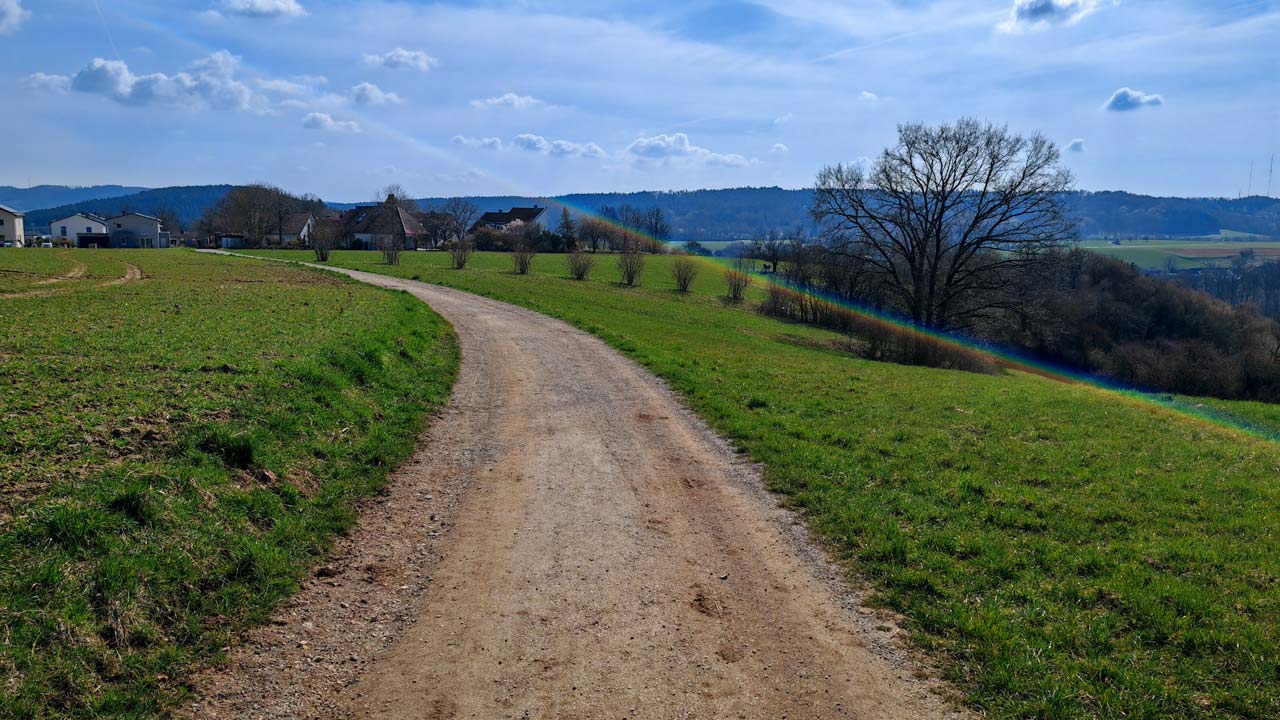 Schön sonniger Montagslauf, bevor wieder Kälte und Schnee(!) kommen