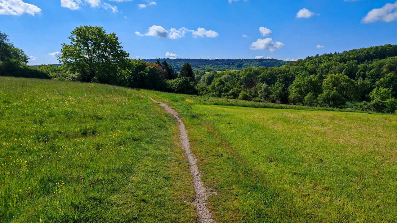 Sonniger Sonntagslauf zu den 54 km diese Woche