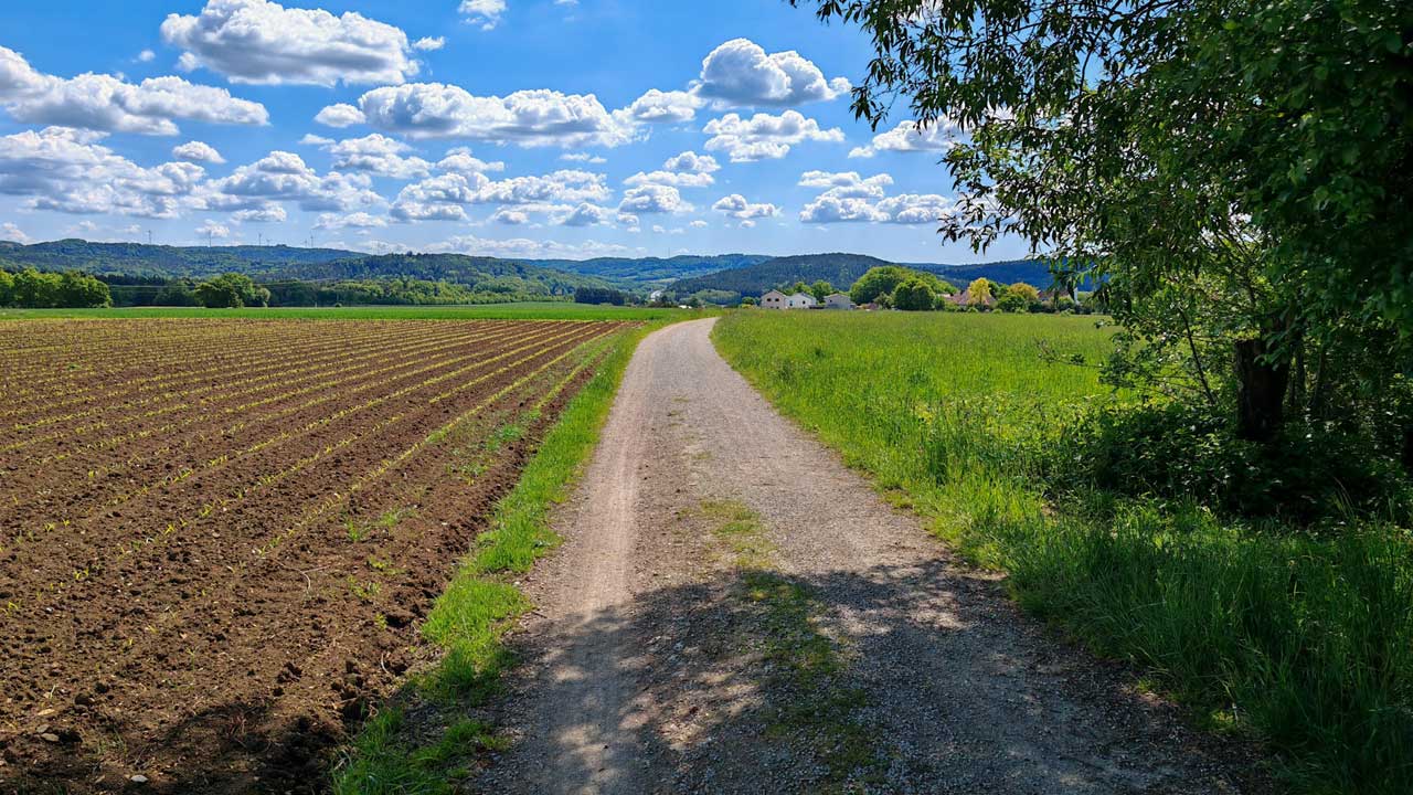 Sonniger Mittagslauf