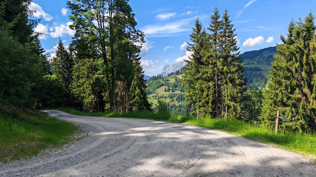 Mit einem Trail-Lauf mit 320 Höhenmeter die 200 km im Mai geknackt