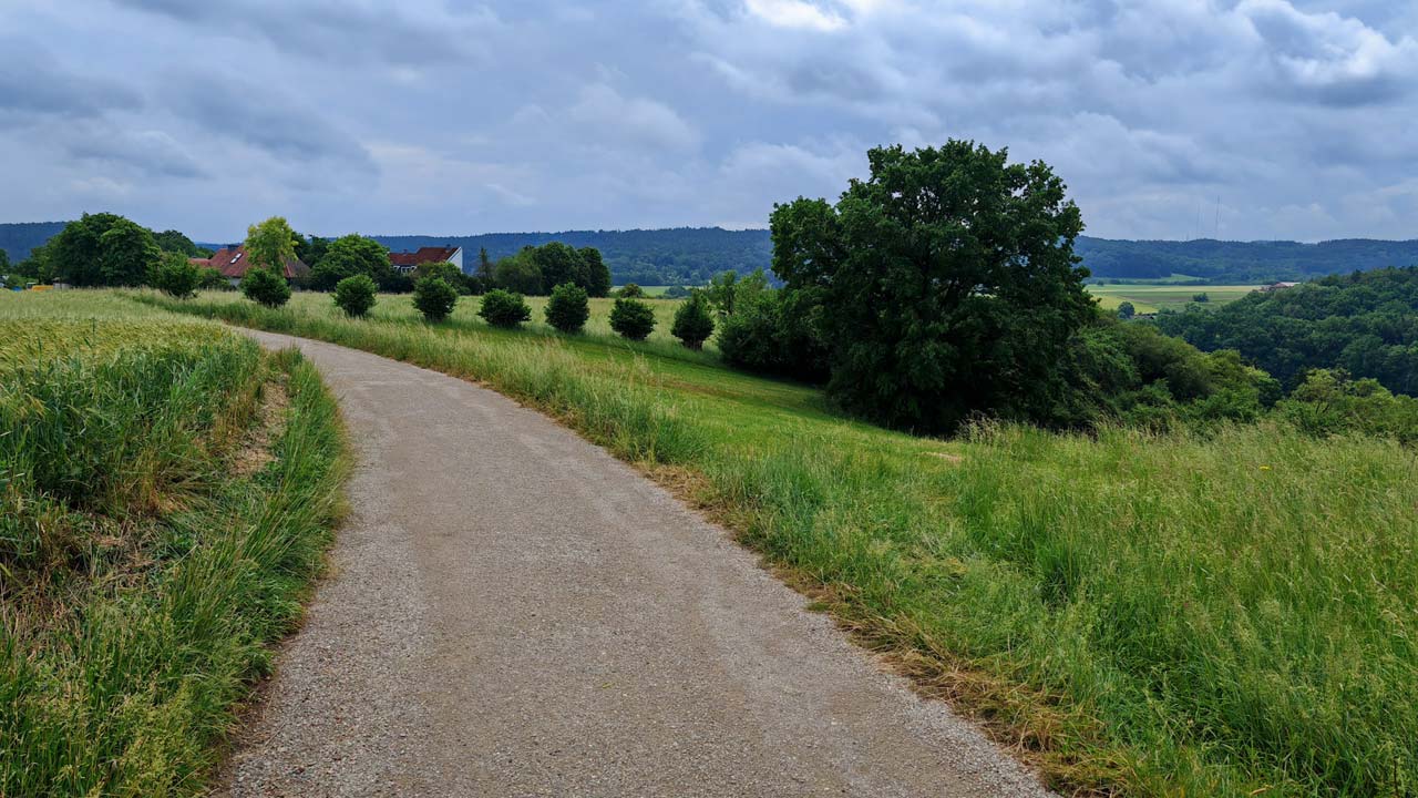Zu langsamer Basislauf mit Rückenschmerzen