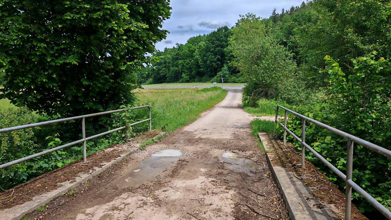 Sonniger Samstagslauf nach kurzer Nacht