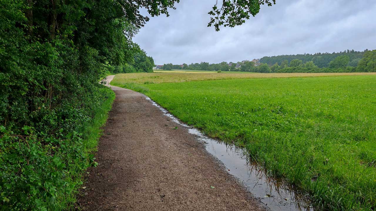 Komplett verregneter Basislauf in der Mittagspause