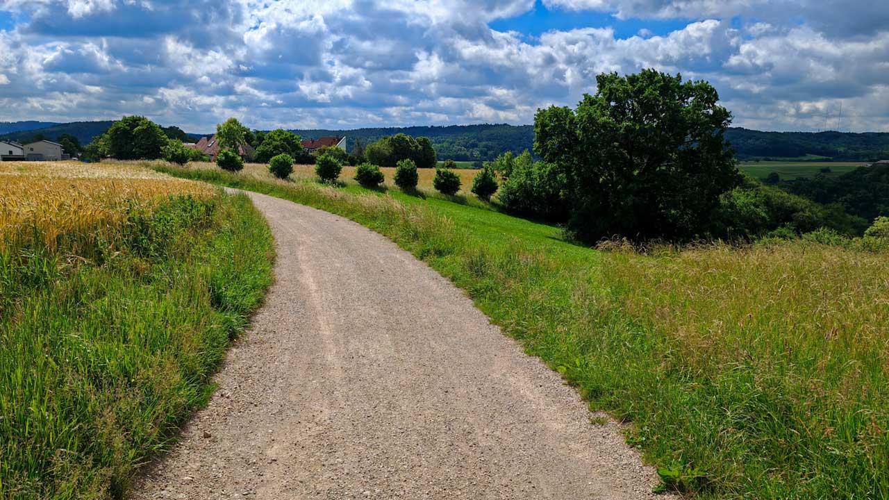 Mittagslauf mit starkem Wind