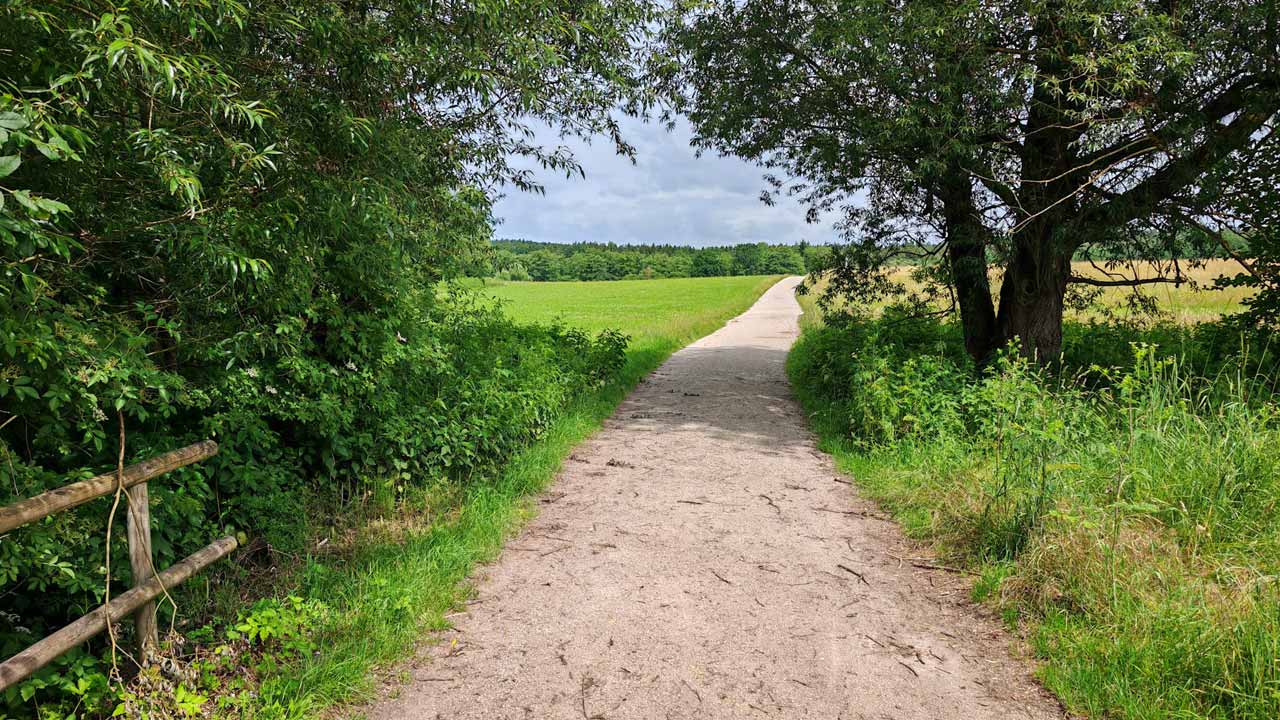 Basislauf in der Mittagspause