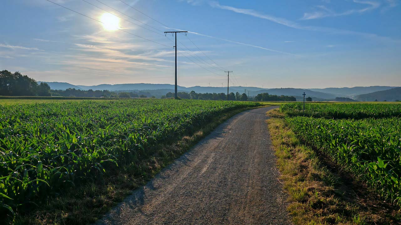 Heute zu spät dran für die 10 km