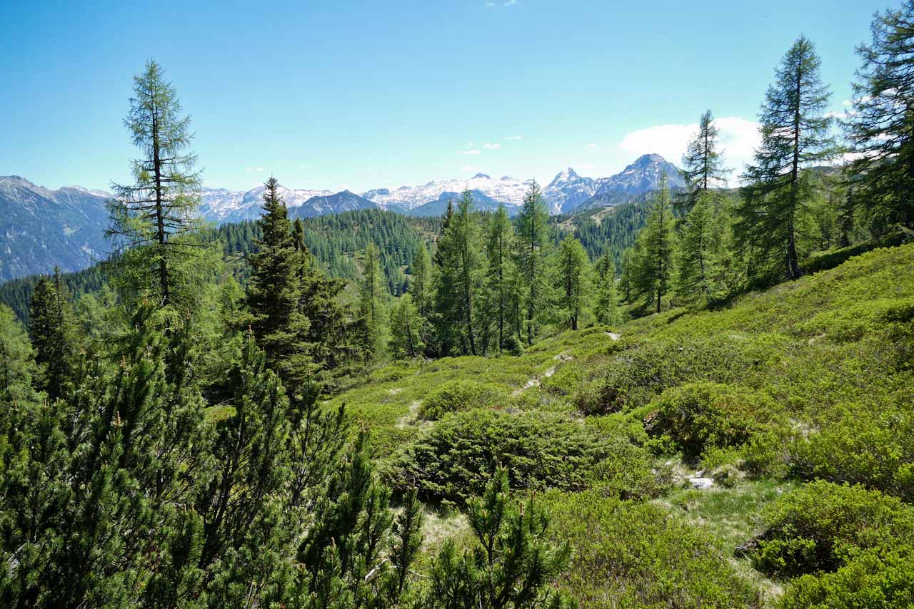 Der zweite Abschnitt unserer Wanderung war landschaftlich ganz anders