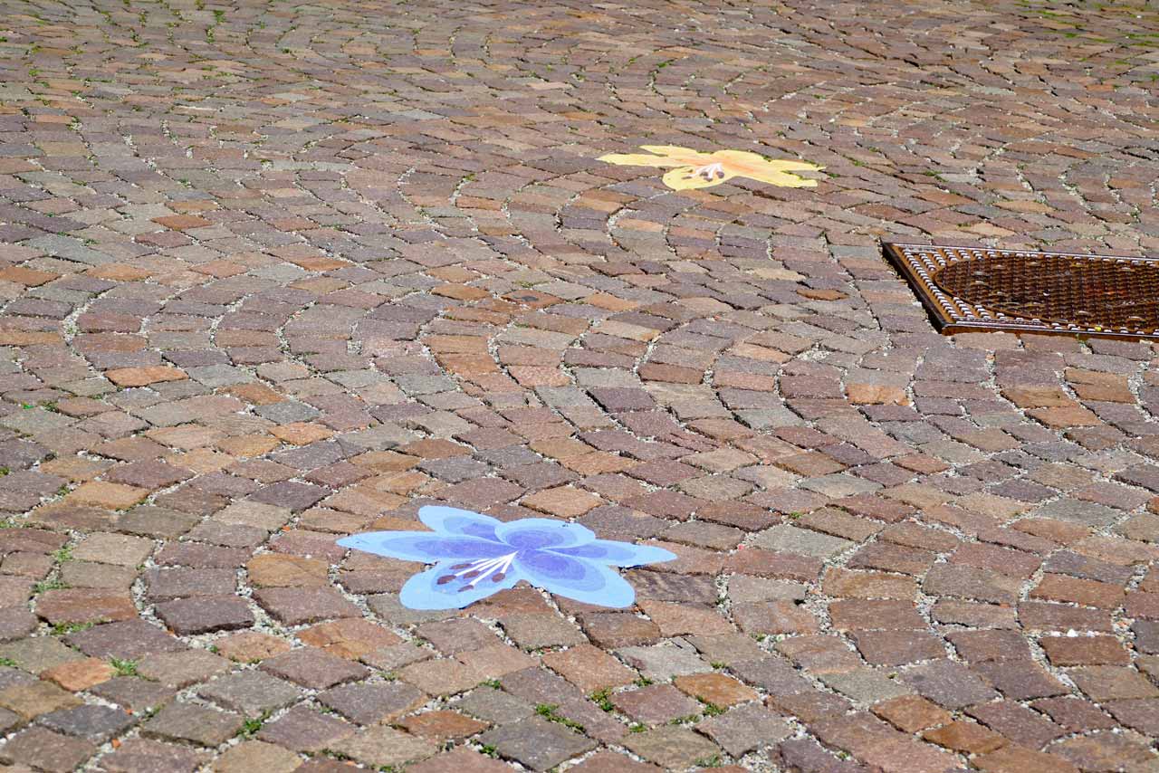 Bunte Blüten weisen in Ellwangen den Weg zur Landesgartenschau