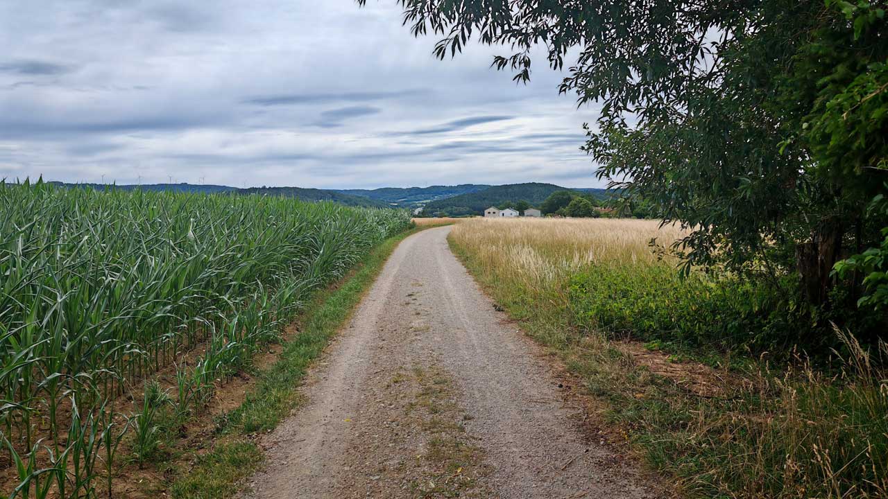 Mittagslauf mit Gegenwind