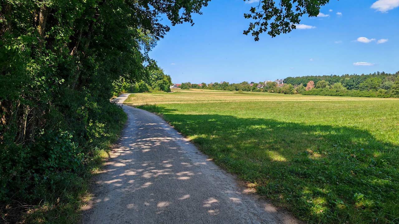 Mittagslauf am Freitag