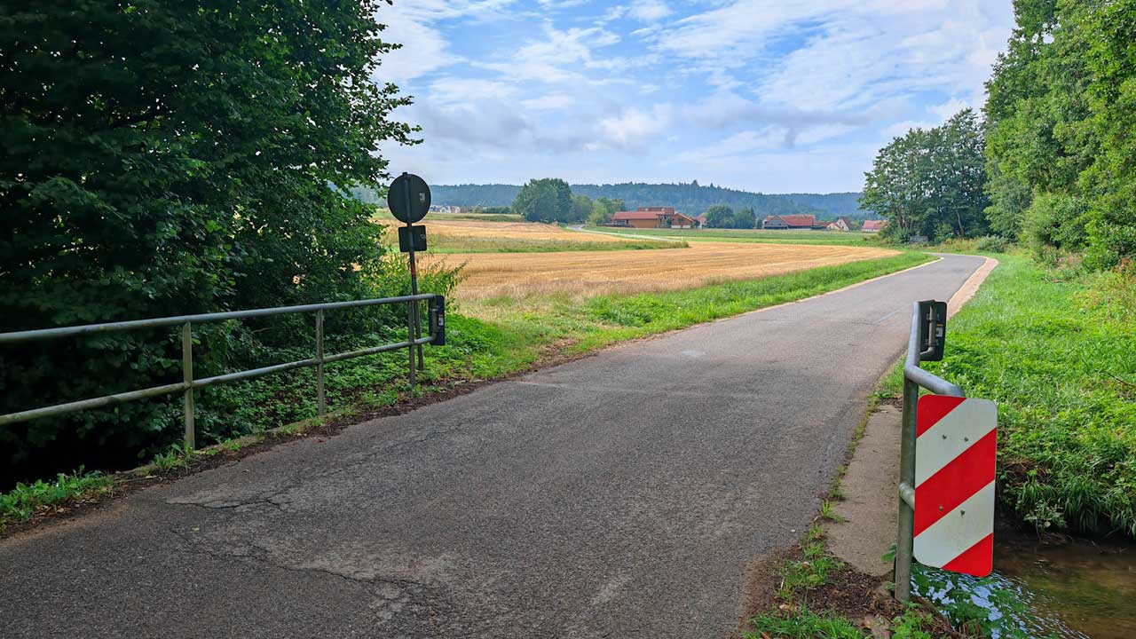 Lauf in den August mit unerwartetem Heuschnupfen