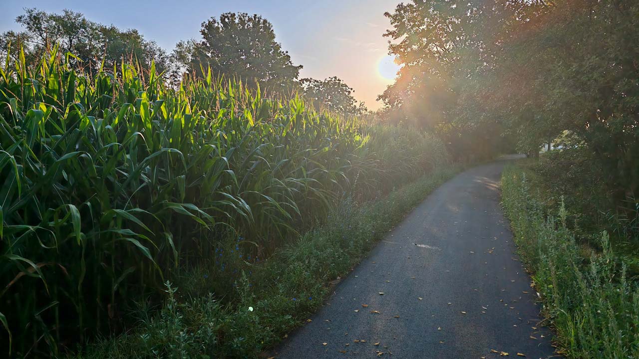 Morgenlauf vor langem Tag