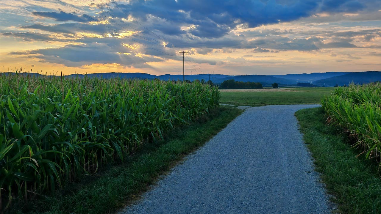 Harter Morgenlauf nach Quiznacht