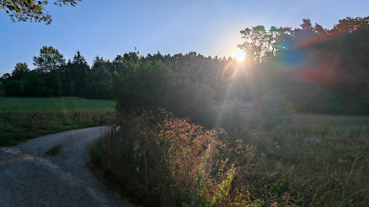 Angenehm kühler Morgenlauf am Freitag
