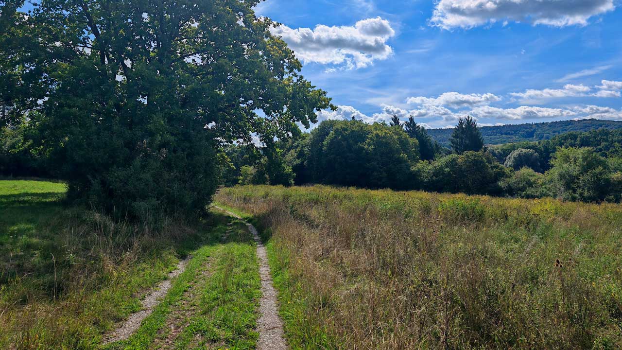 Harter aber nötiger Lauf nach der großen Schlemmerei
