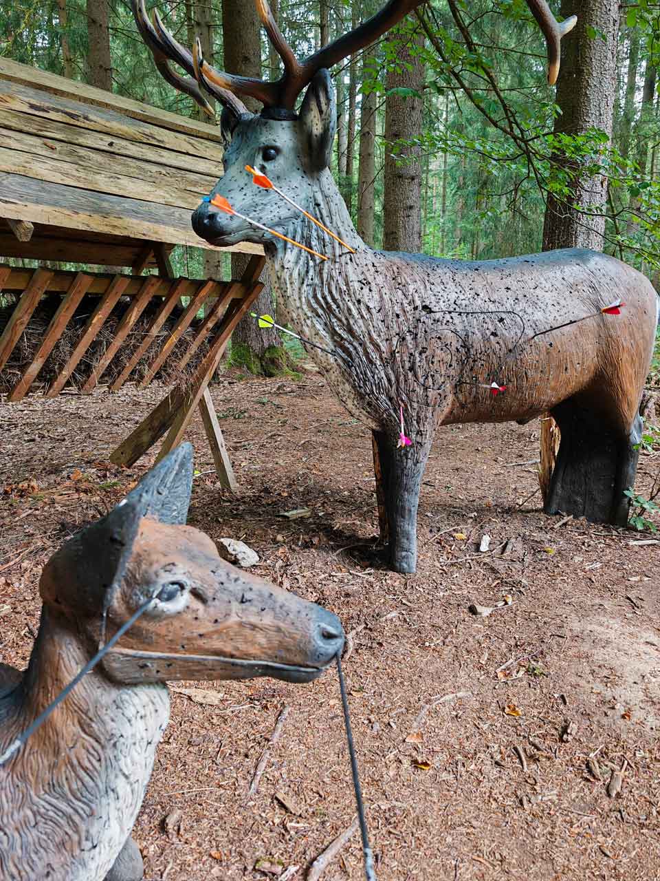 Diese 3D-Figuren haben wir aus (fast) jeder Entfernung gut durchlöchert