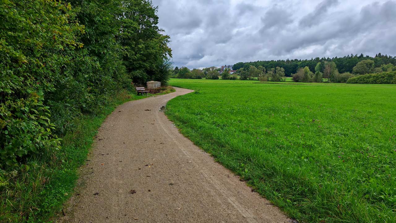 Mittagslauf in leichtem Regen