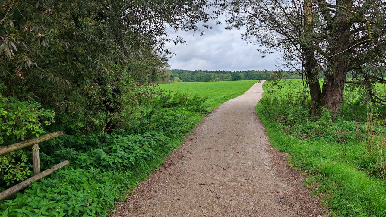 Montagslauf in der Mittagspause