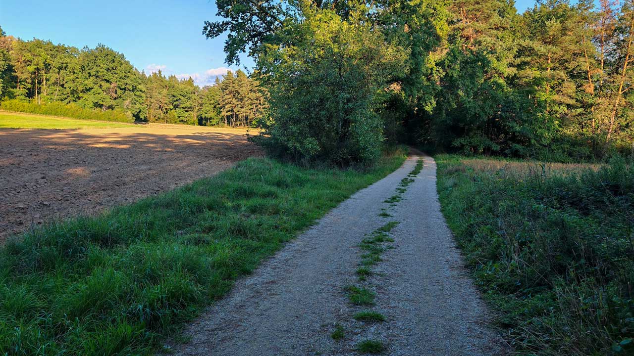 Kurzer Feierabendlauf