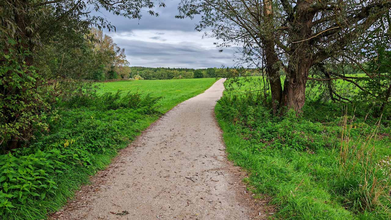 Freitagslauf in der Mittagspause