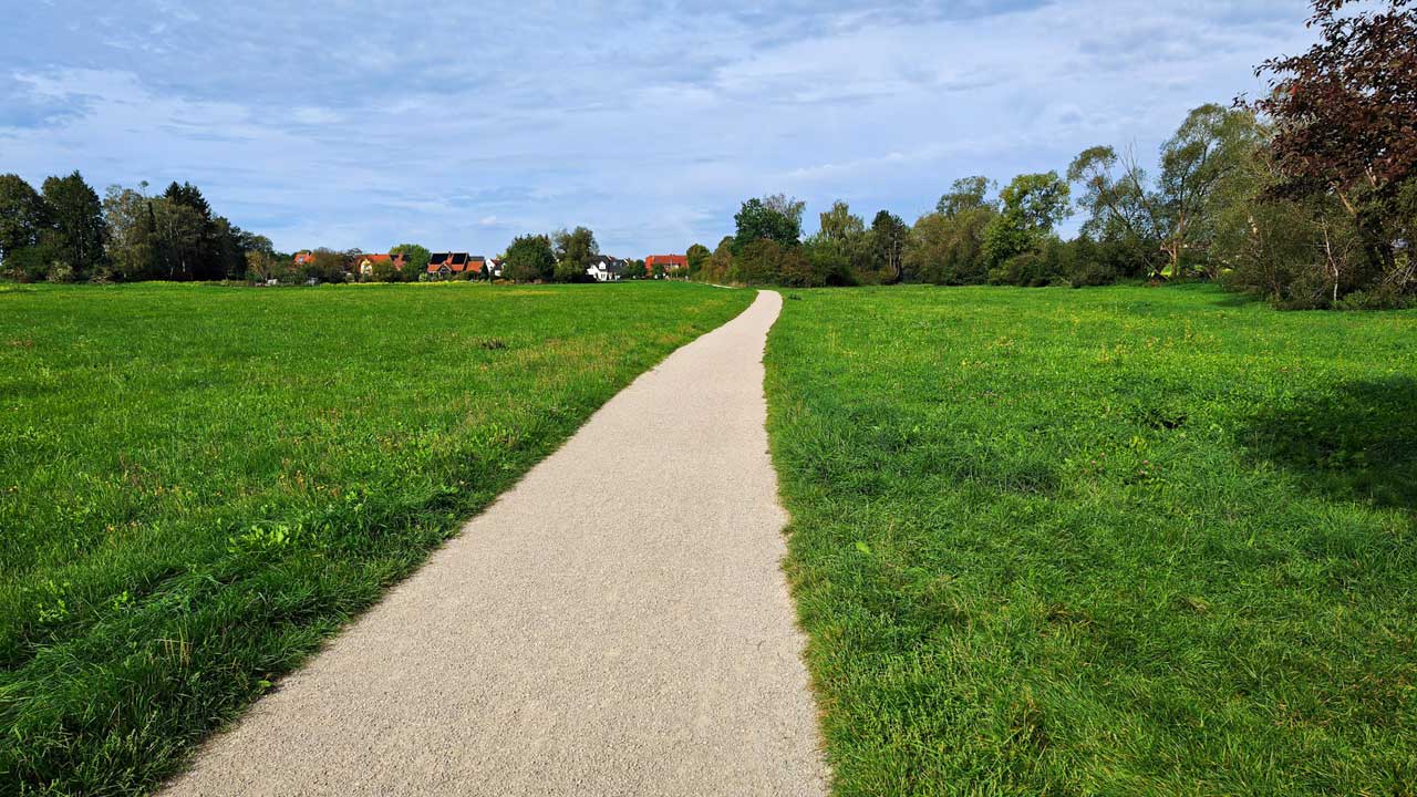 Laufwoche mit 50 km abgeschlossen