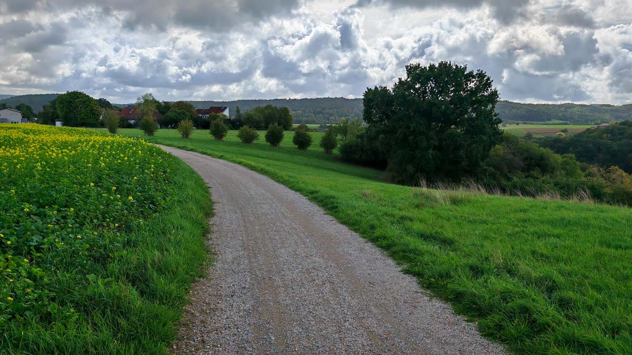 Montagslauf schon wieder