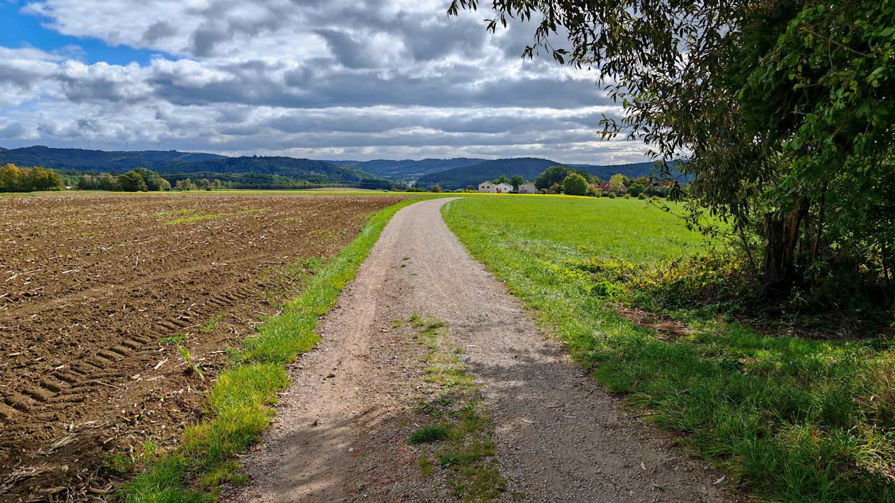 Müder Mittagspausenlauf