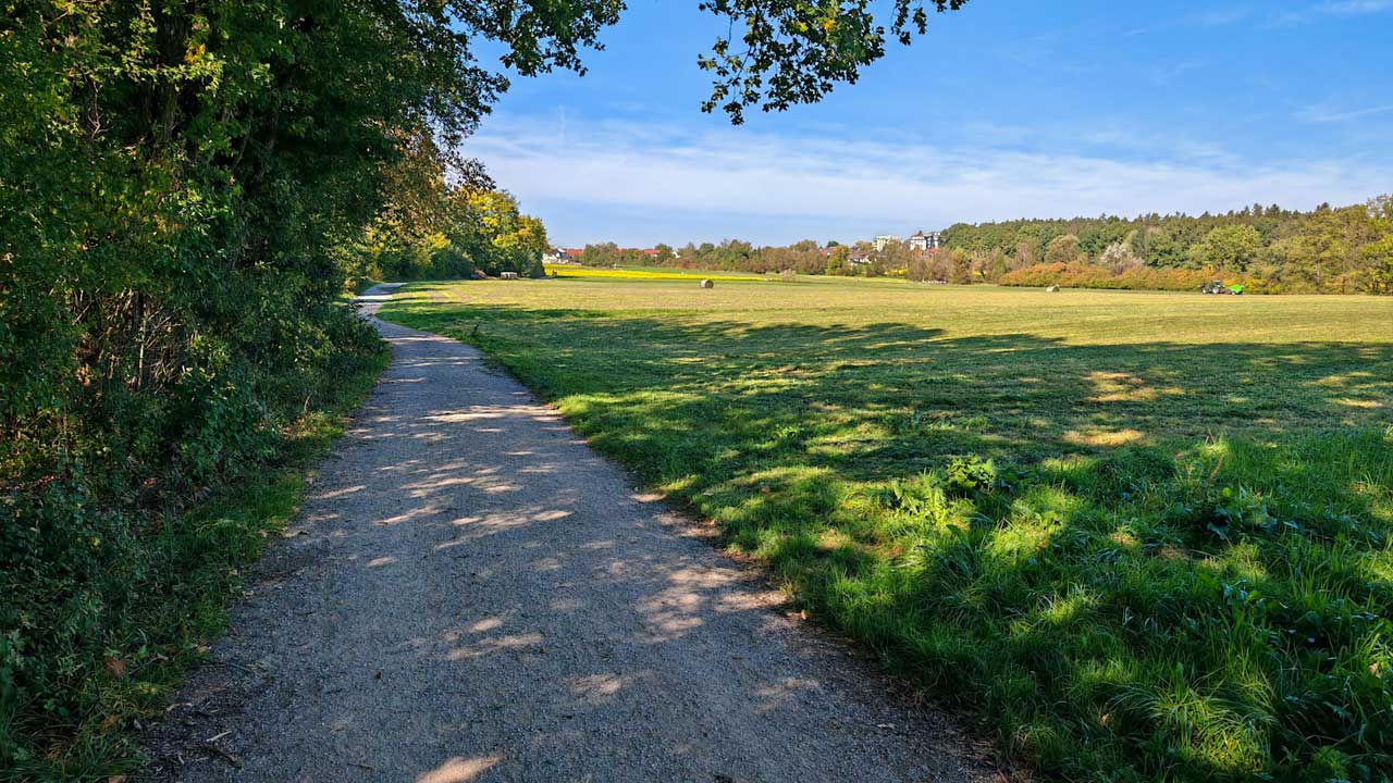 Sonniger Dienstagslauf