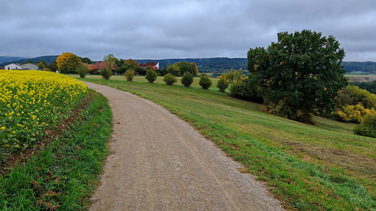 Freitagslauf an einem trüben Tag