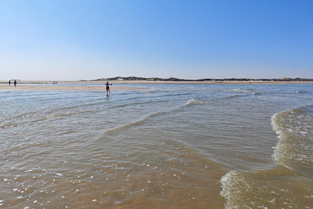 Der Zwergofant rennt ins Wasser