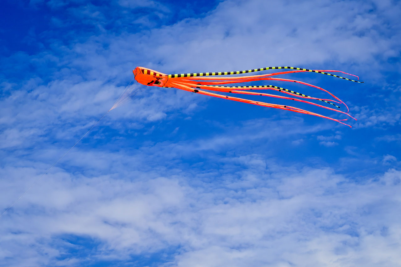 Ein imposanter Drachen am blauen Himmel