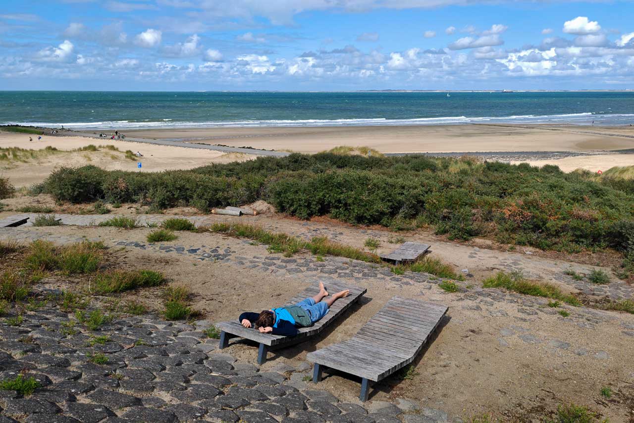 Der Zwergofant chillt am Aussichtspunkt