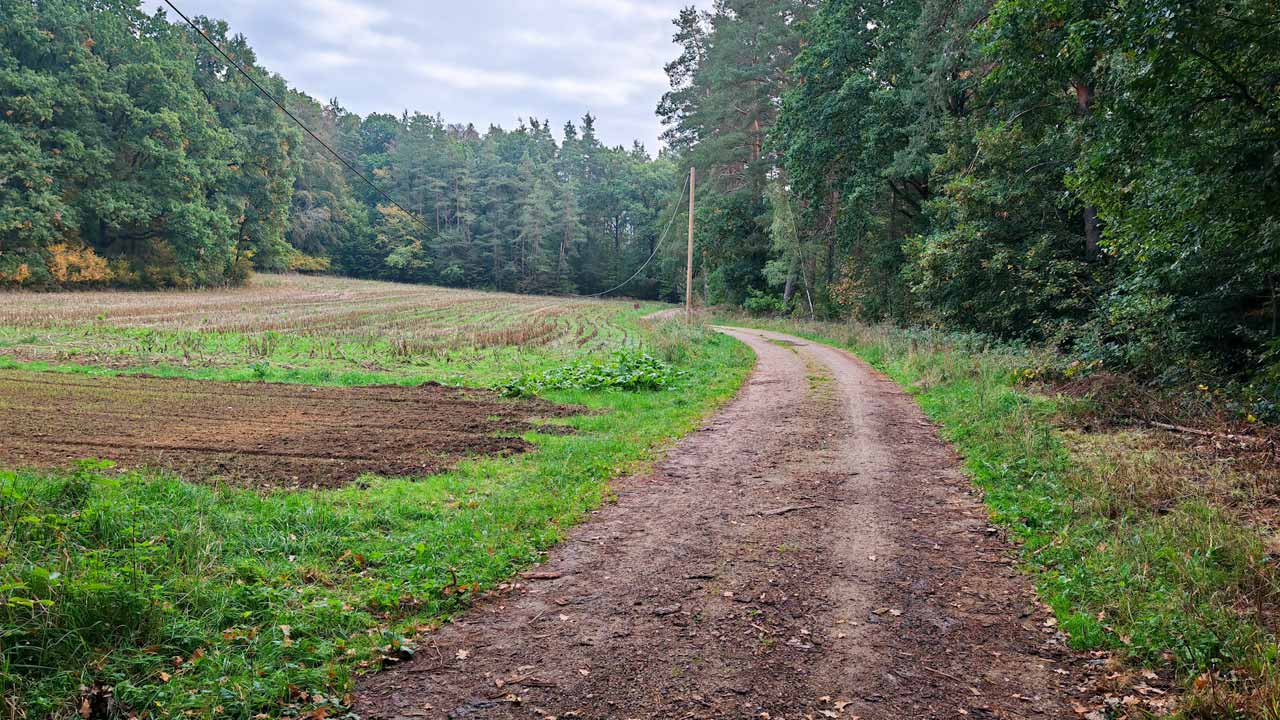 Kurzer Morgenlauf am Feiertag