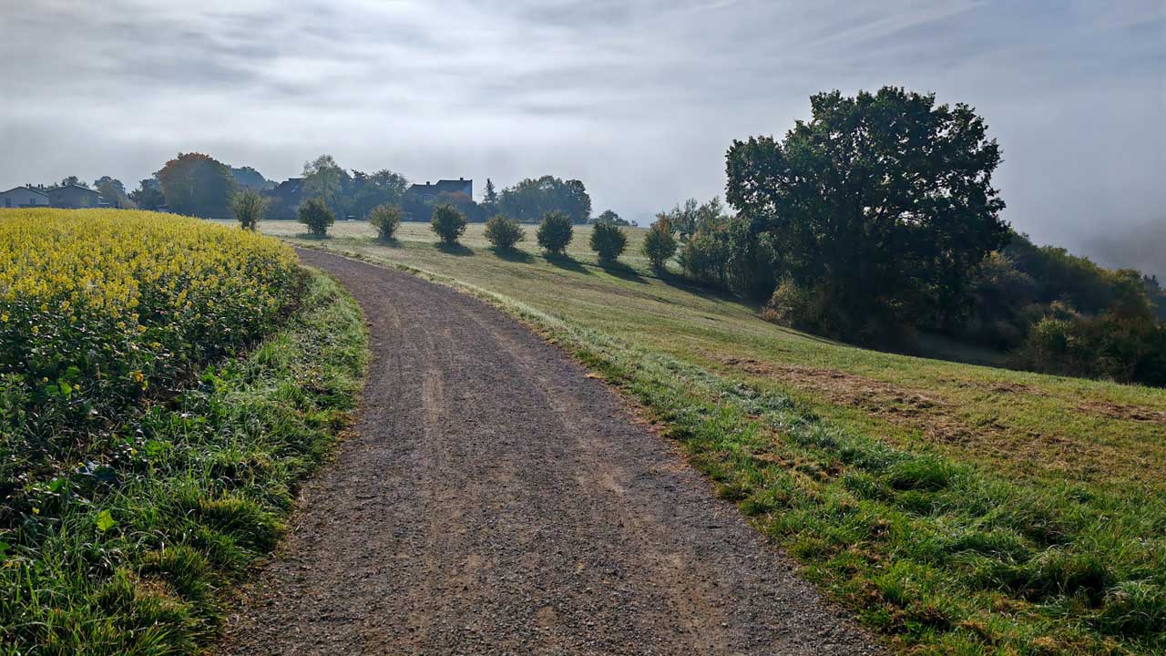 Kurzer Morgenlauf und die Woche mit 53 km abgeschlossen