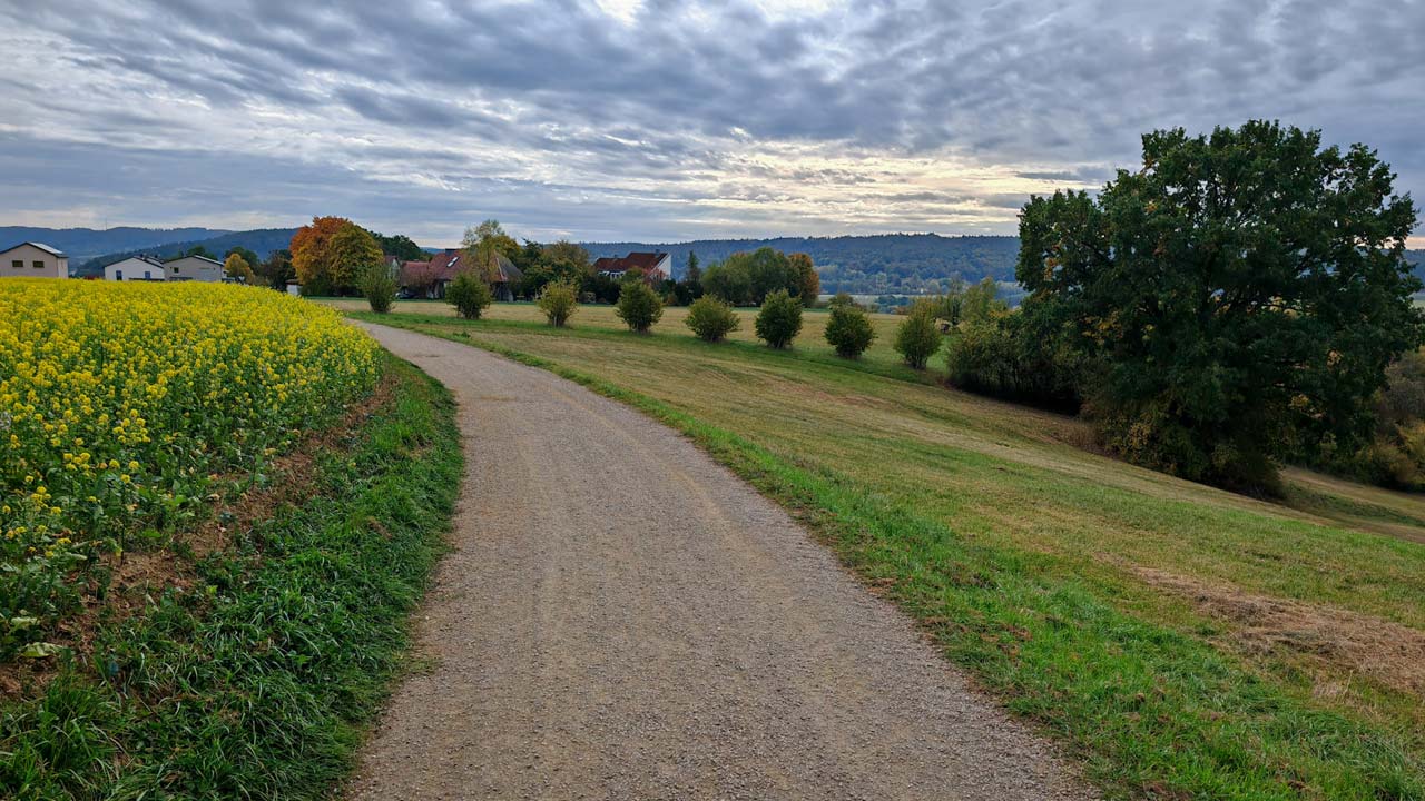 Donnerstagslauf durch den leichten Regen