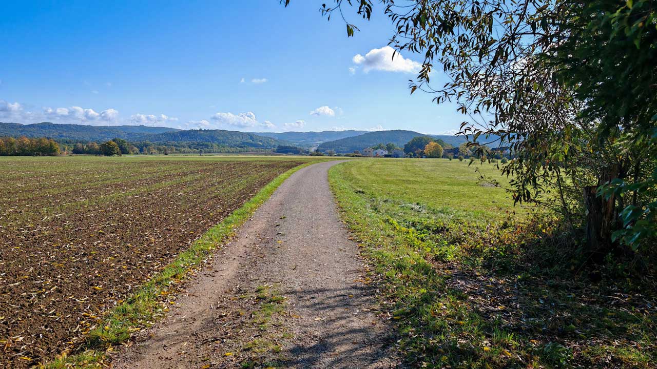 Schön sonniger Montagslauf